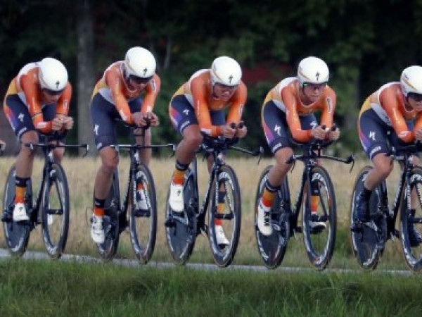 Improving the functioning of the team