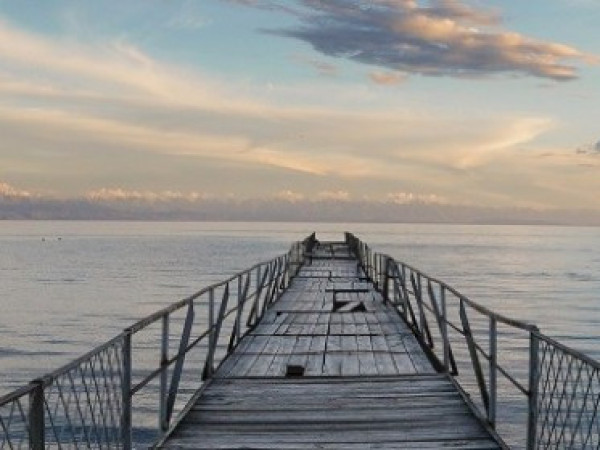 How to influence the business results of your company