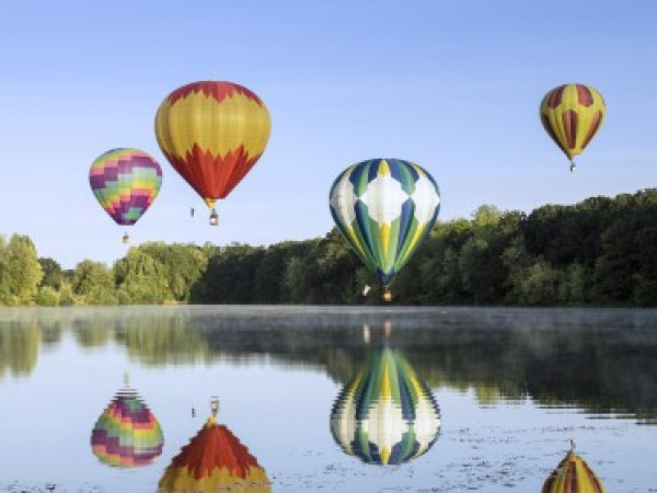 What will the new series of ISO 56002 standards focused on innovation management bring